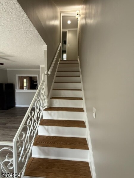 Building Photo - 55 Wenonah Ave