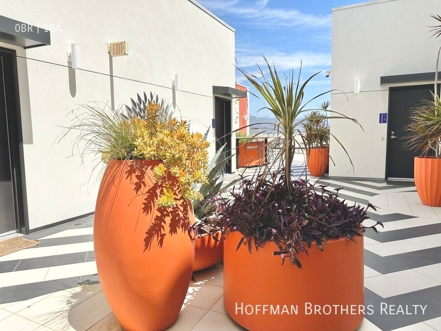 Building Photo - 11405 Chandler Blvd