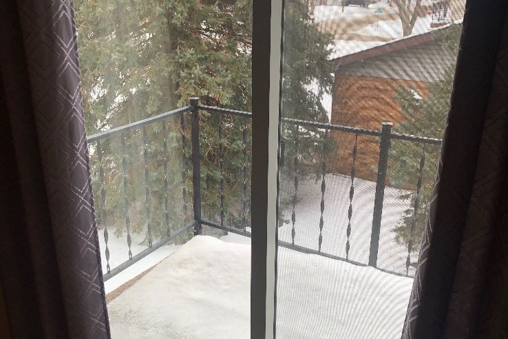 Living room - 1008 Hackberry Dr