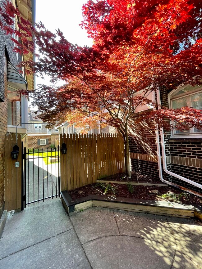 Building Photo - 786 McKinley Pkwy