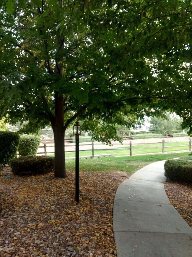 Building Photo - 1451 Whitehall Dr