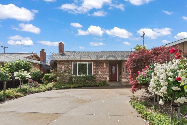 Building Photo - 1674 Noreen Dr