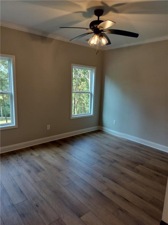 Building Photo - 41 College Heights