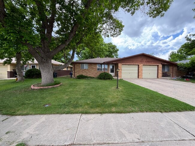 Primary Photo - 3419 Butternut Dr