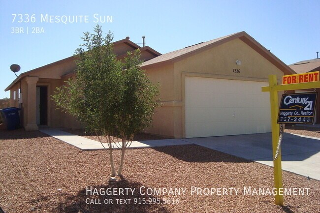 Primary Photo - 7336 Mesquite Sun Ln