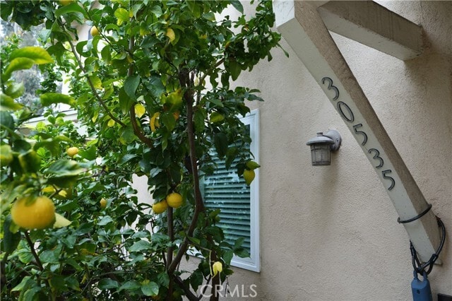 Building Photo - 30535 Canwood St