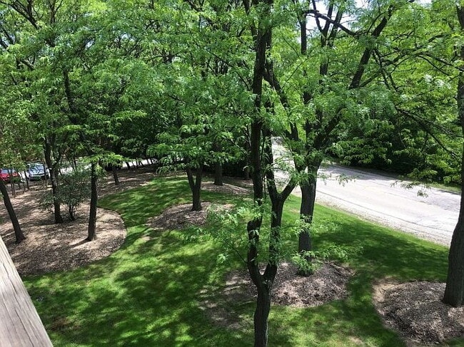 Building Photo - "Charming 2-Bedroom Retreat in Lisle with Spacious Living – 850 Sq Ft of Comfort!"