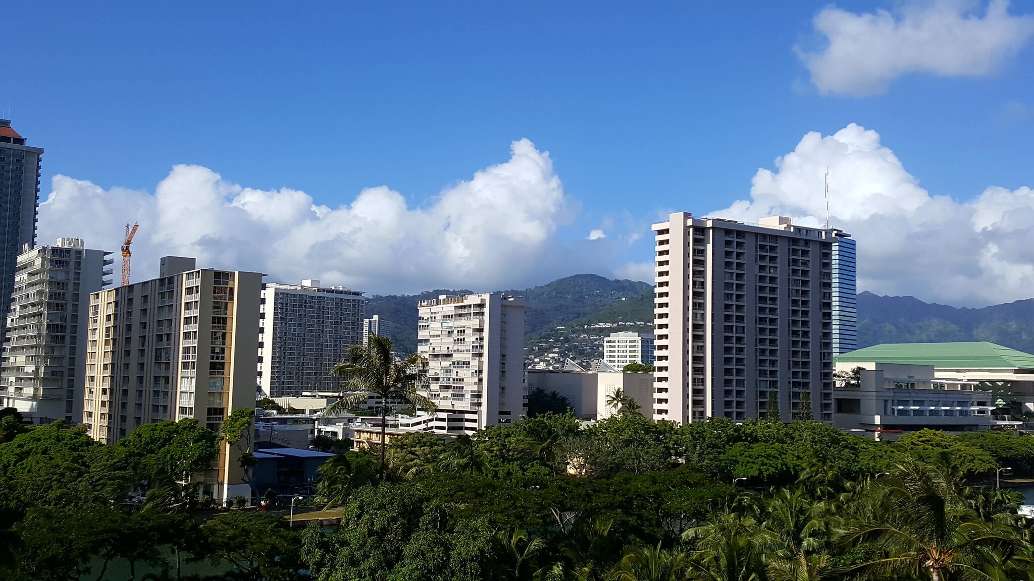 Another Mountain View shot from unit /Manoa Valley in background - 1690 Ala Moana Blvd