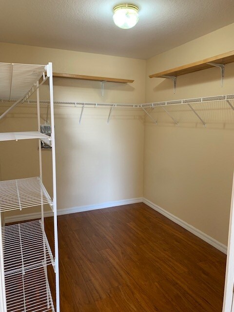 Building Photo - 5272 Andris St