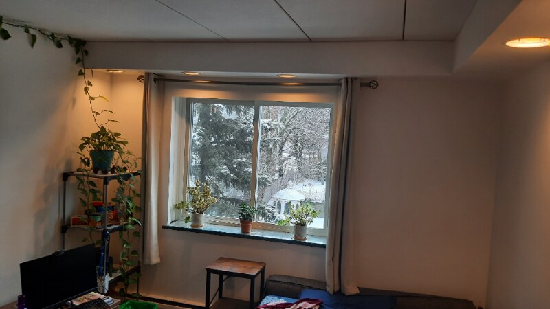 Building Photo - 25 Homer Ave