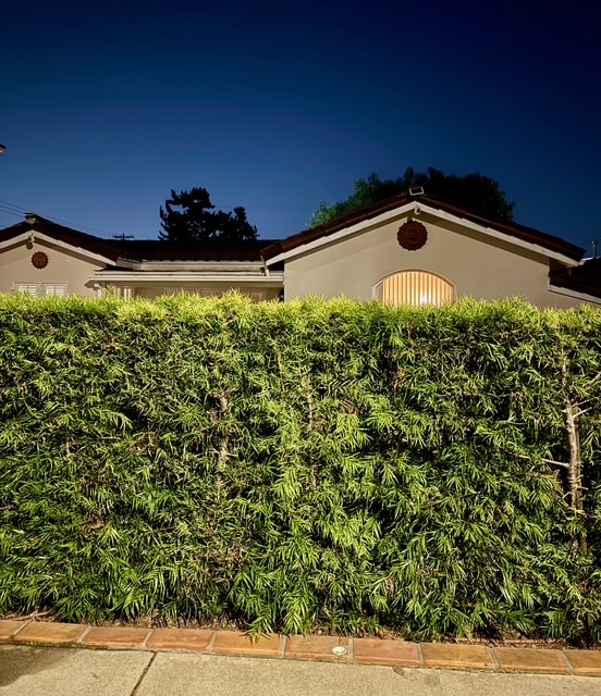 Building Photo - 2620 Graham Ave