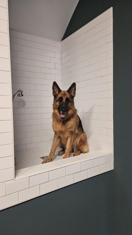 Building Photo - 1300 Edgehill Ave