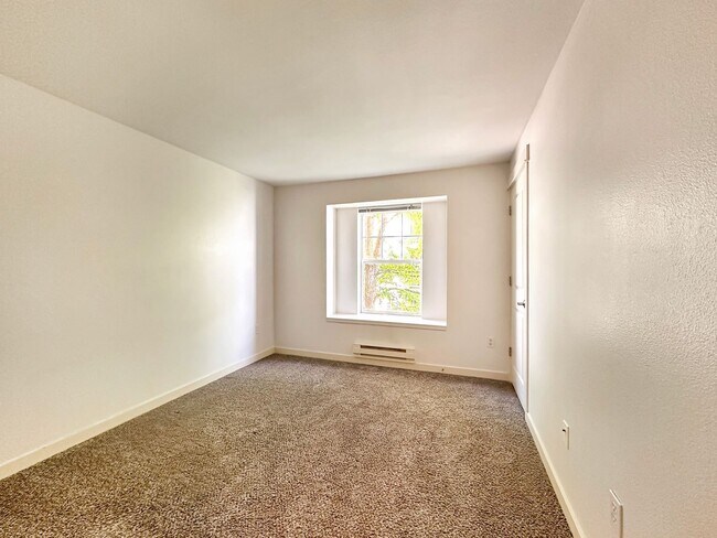 Building Photo - 1Bd/1Ba Kenmore Condo