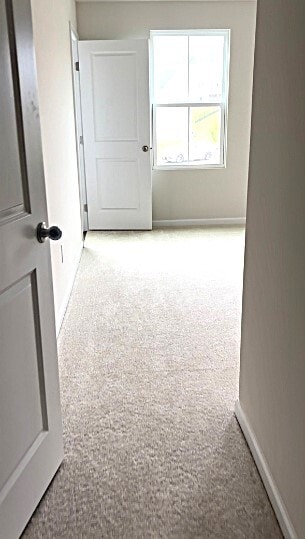 Building Photo - 173 Thicket Dr