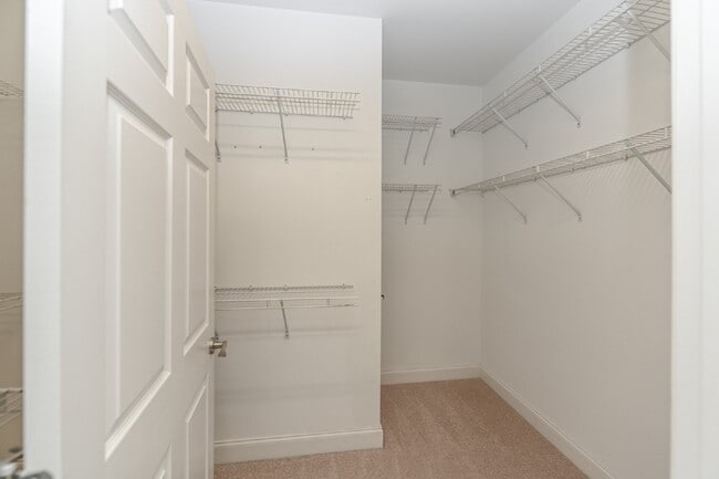 Building Photo - Easy Living in Cottage Grove at 12 Stones