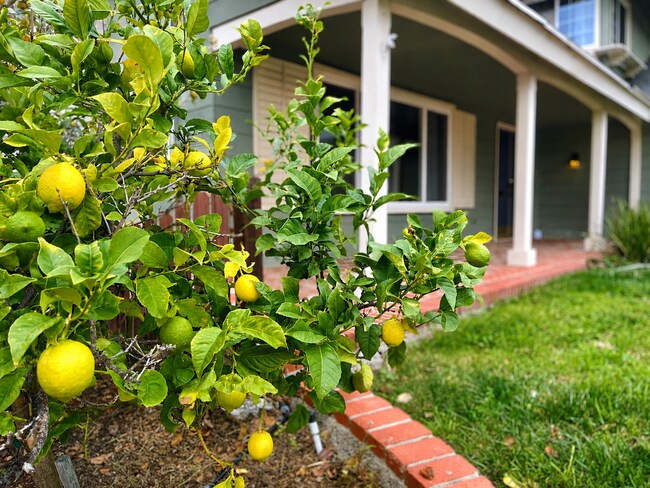 Building Photo - Spacious Corner Lot Home in Desirable Ventura Neighborhood!