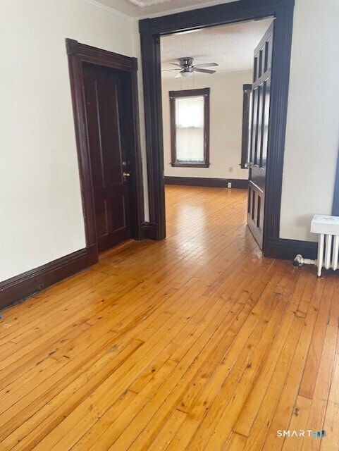 Building Photo - 281 Chestnut St