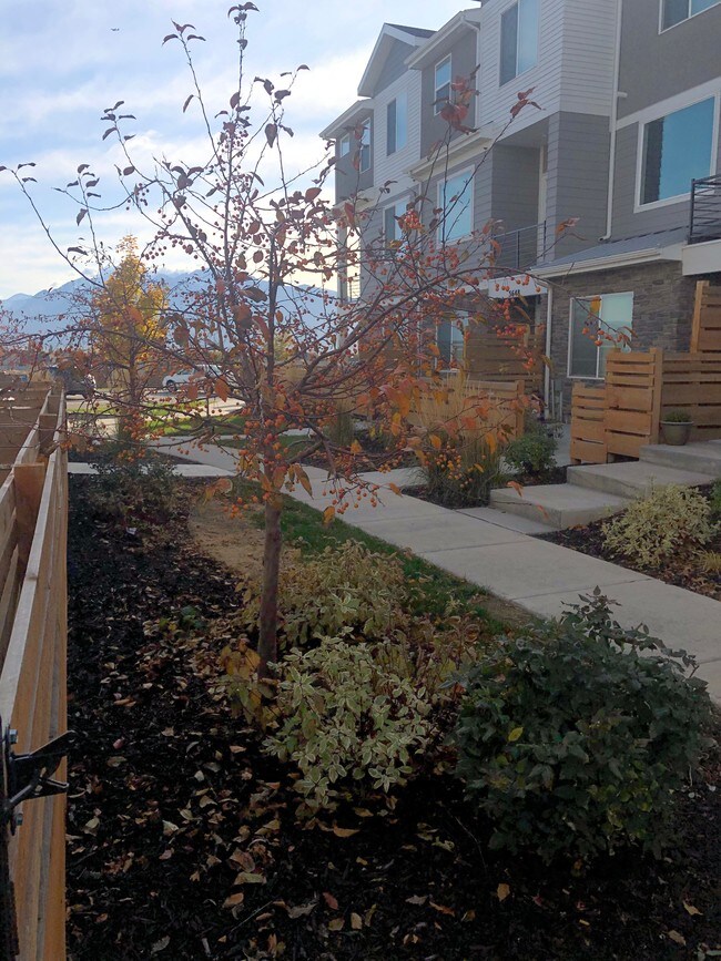 Court-yard view looking East - 3657 W Sunrise Sky Ln