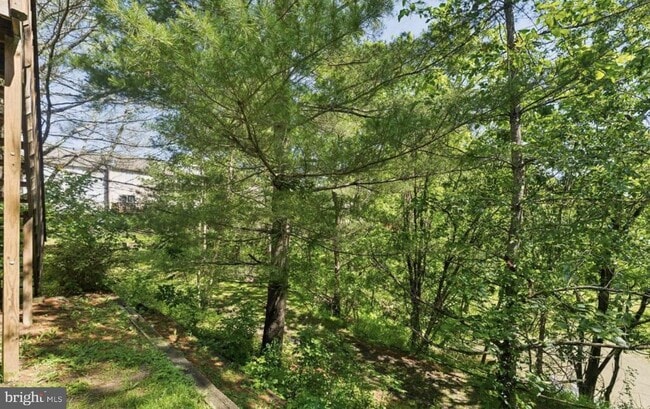 Building Photo - 8746 Ruppert Ct