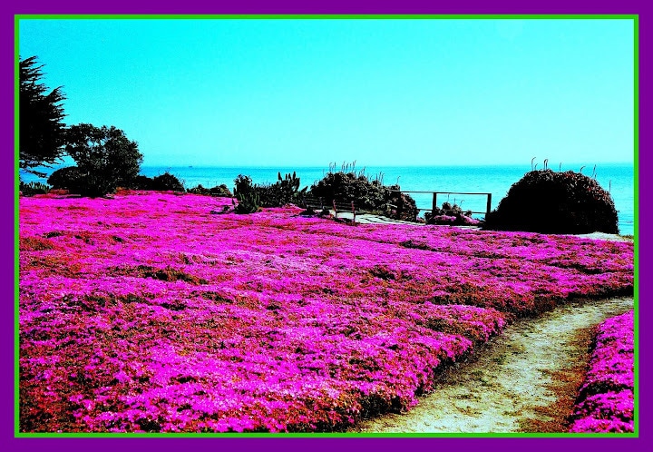 Beach Path - 137 4th St