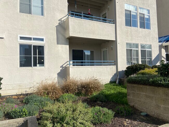 Building Photo - 535 Pierce St