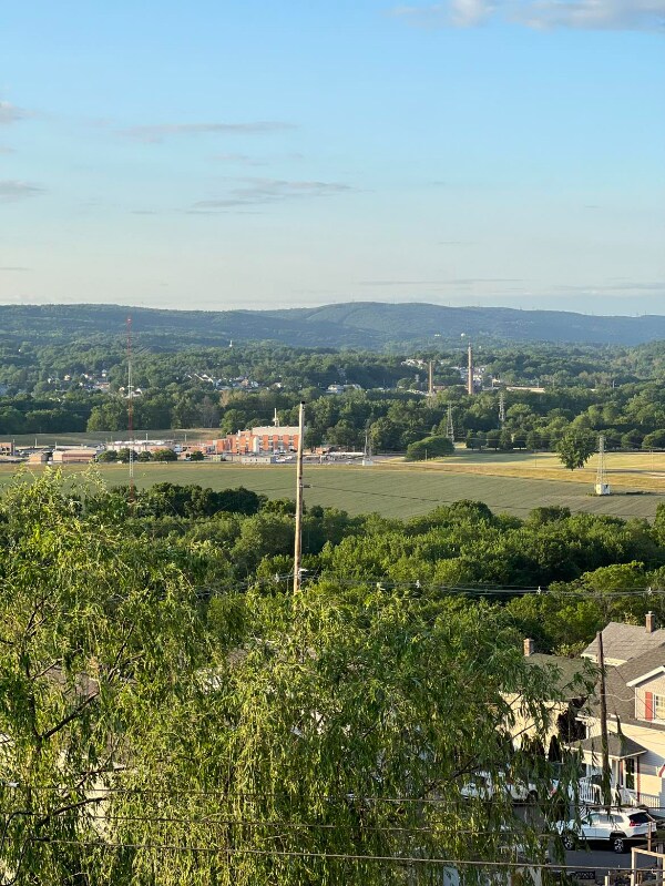 Building Photo - 19 Rutter St