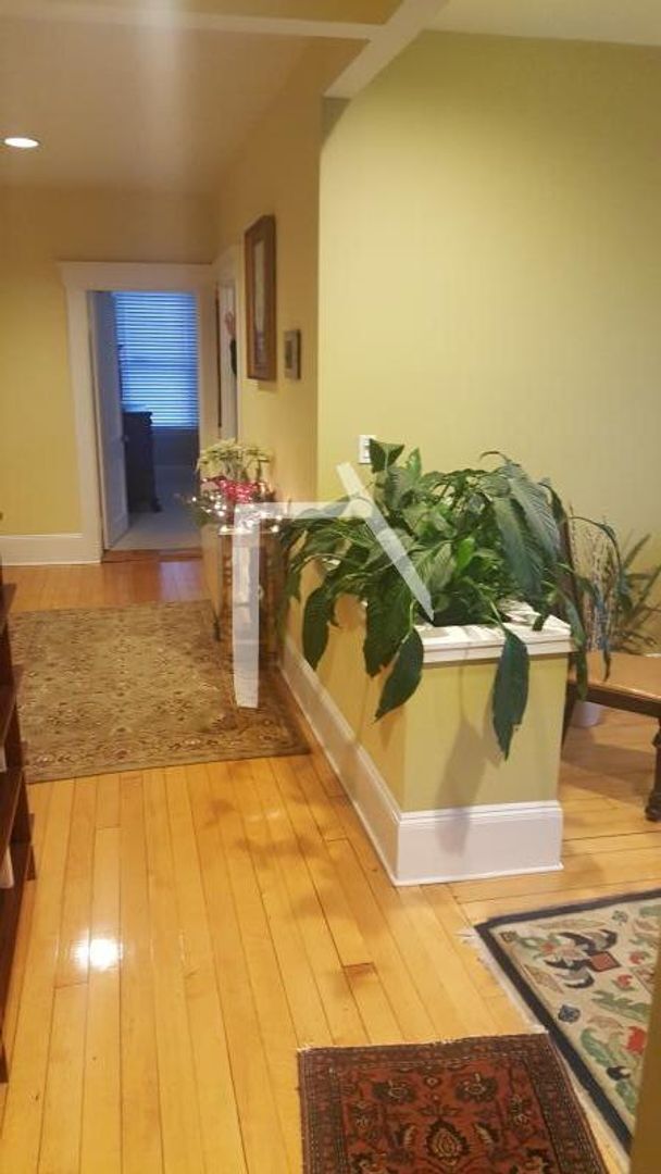 Building Photo - HOT ALLSTON LISTING!!!!