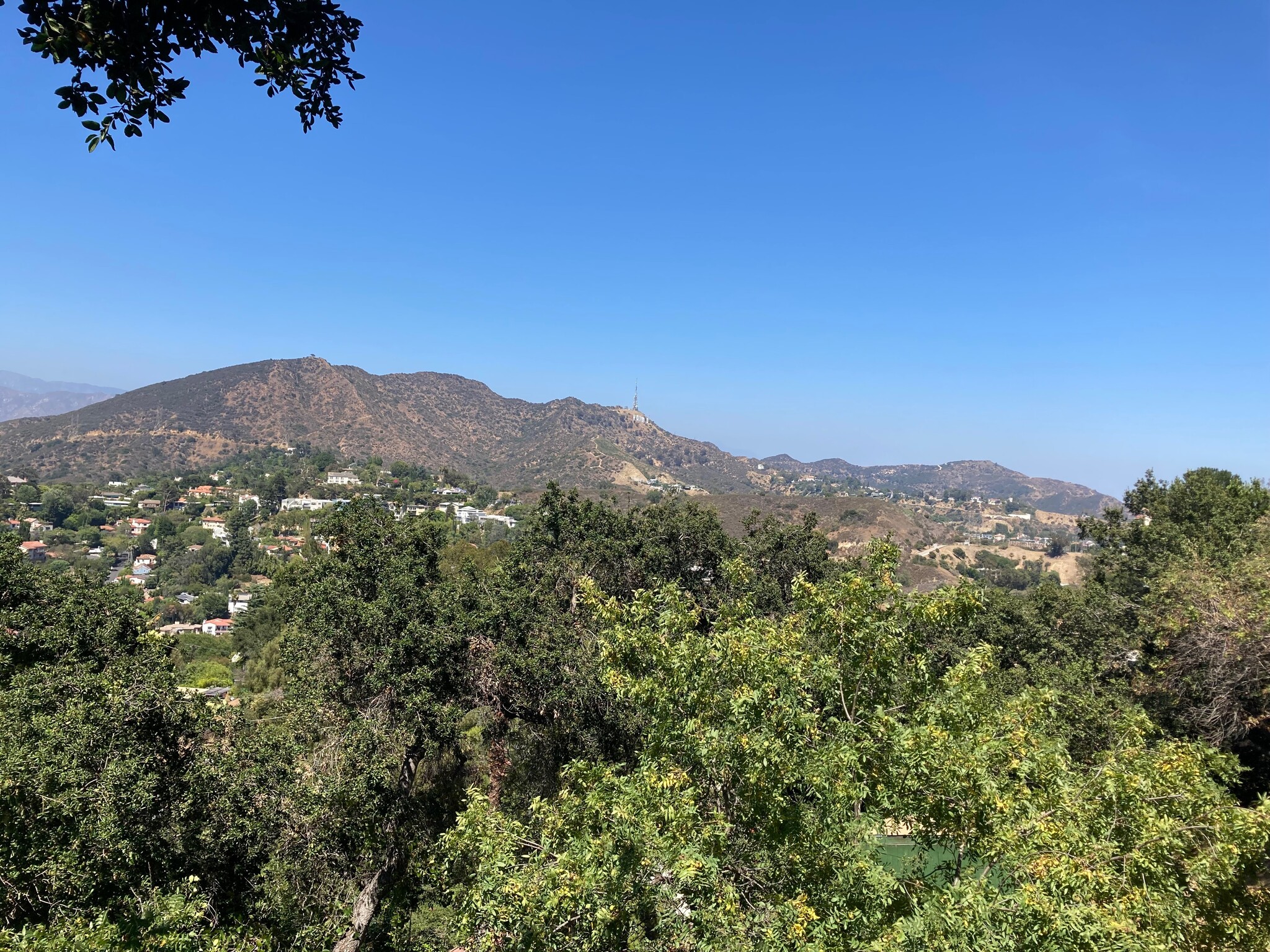 View of Hollywood Sign - 3026 Valevista Trl