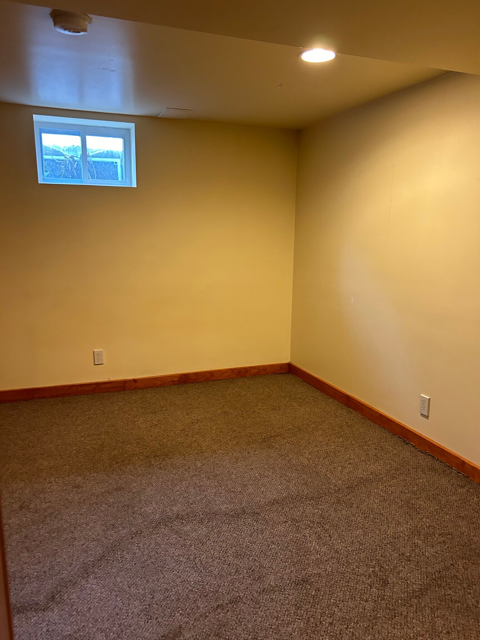 Building Photo - 208 Koch Ave