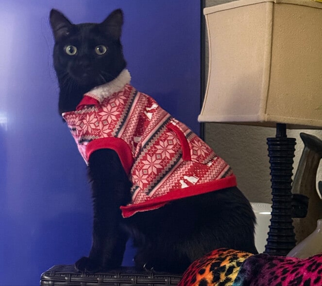 Primary Photo - 8653 Danridge Dr