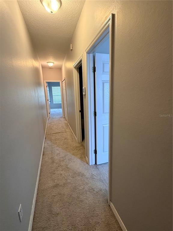 Building Photo - 10321 Willow Leaf Trail