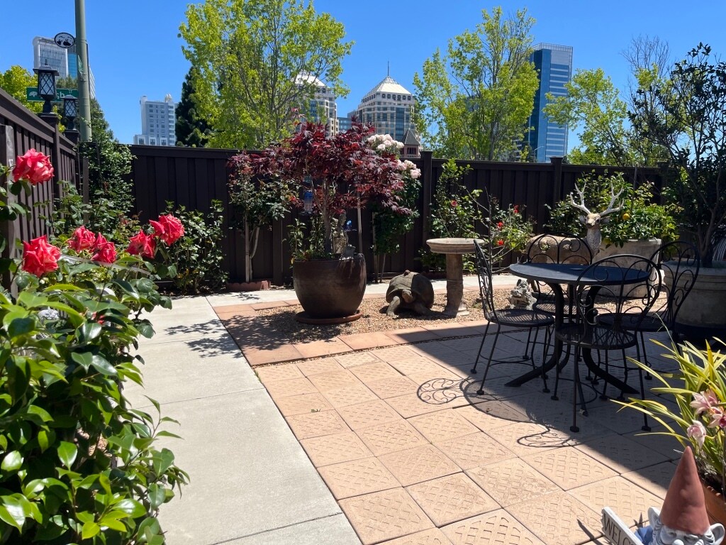 Peaceful garden to sit with beautiful city view - 763 15th St