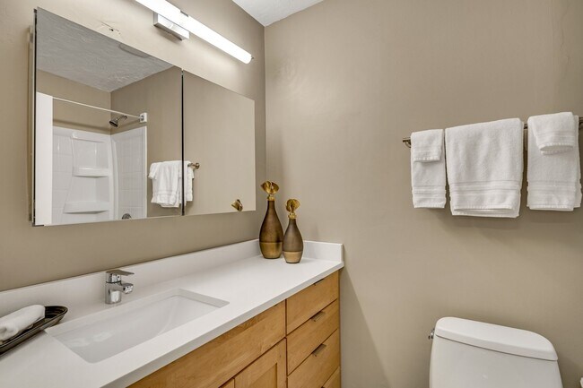 Building Photo - Perfect Downtown Furnished 1 BR Apartment