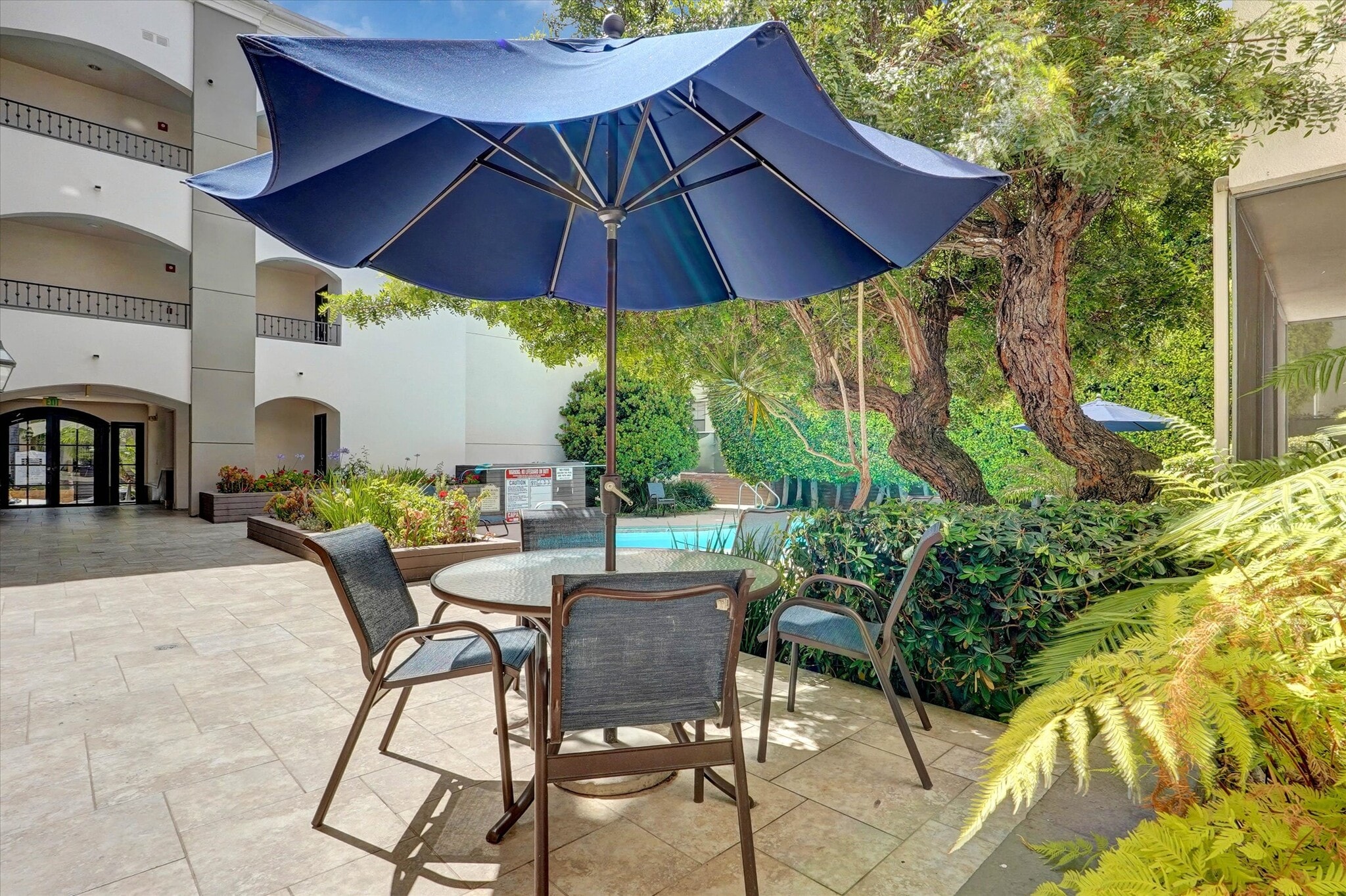 Lounge area around pool ground - 4637 Willis Ave