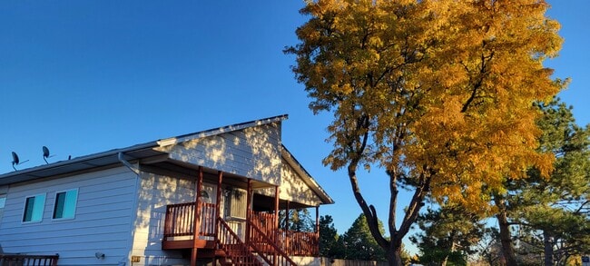 Building Photo - 6290 Wolff St