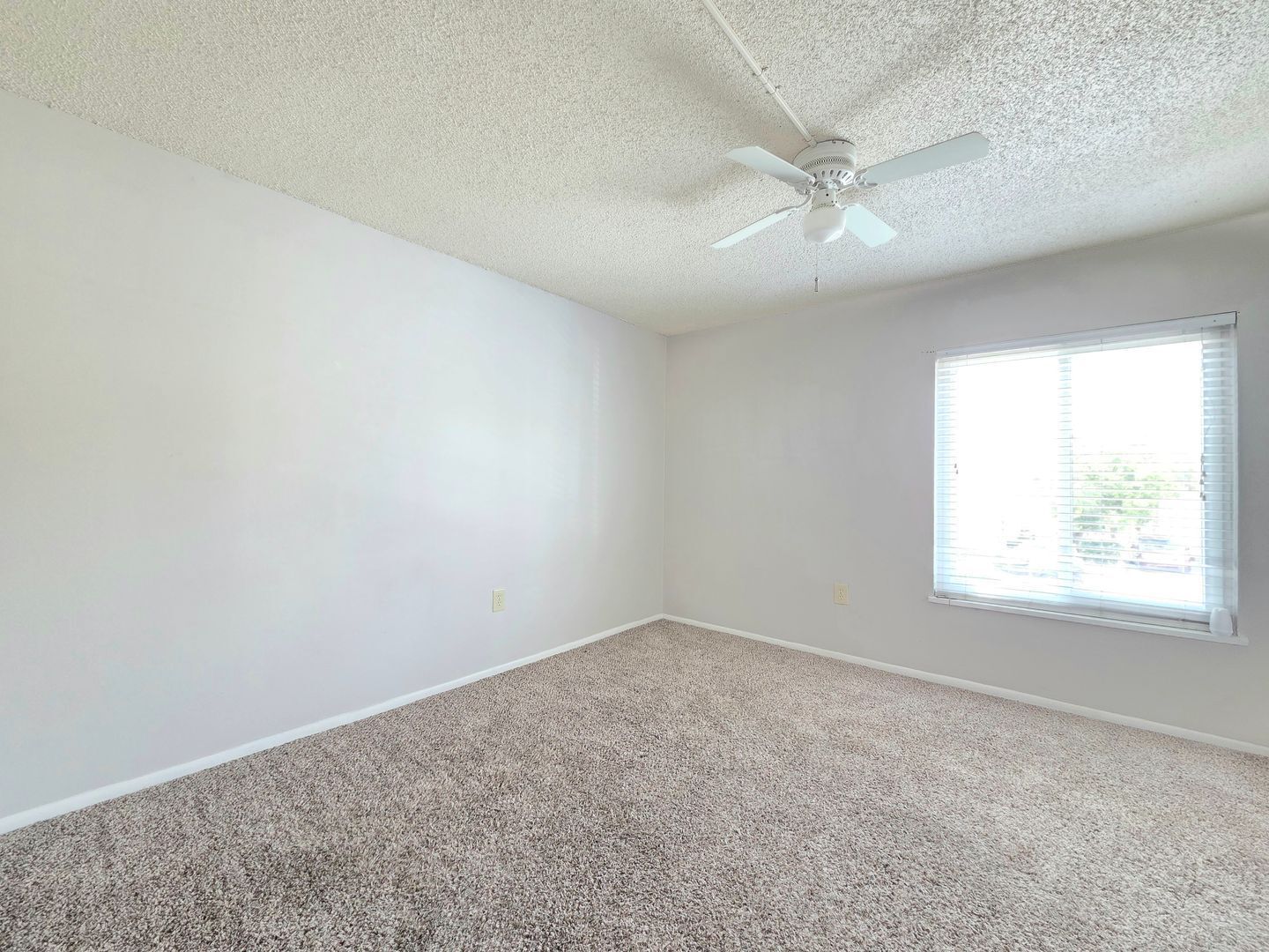 Building Photo - 584 Orange Dr