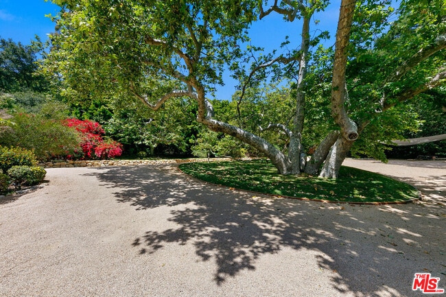 Building Photo - 6314 Sycamore Meadows Dr