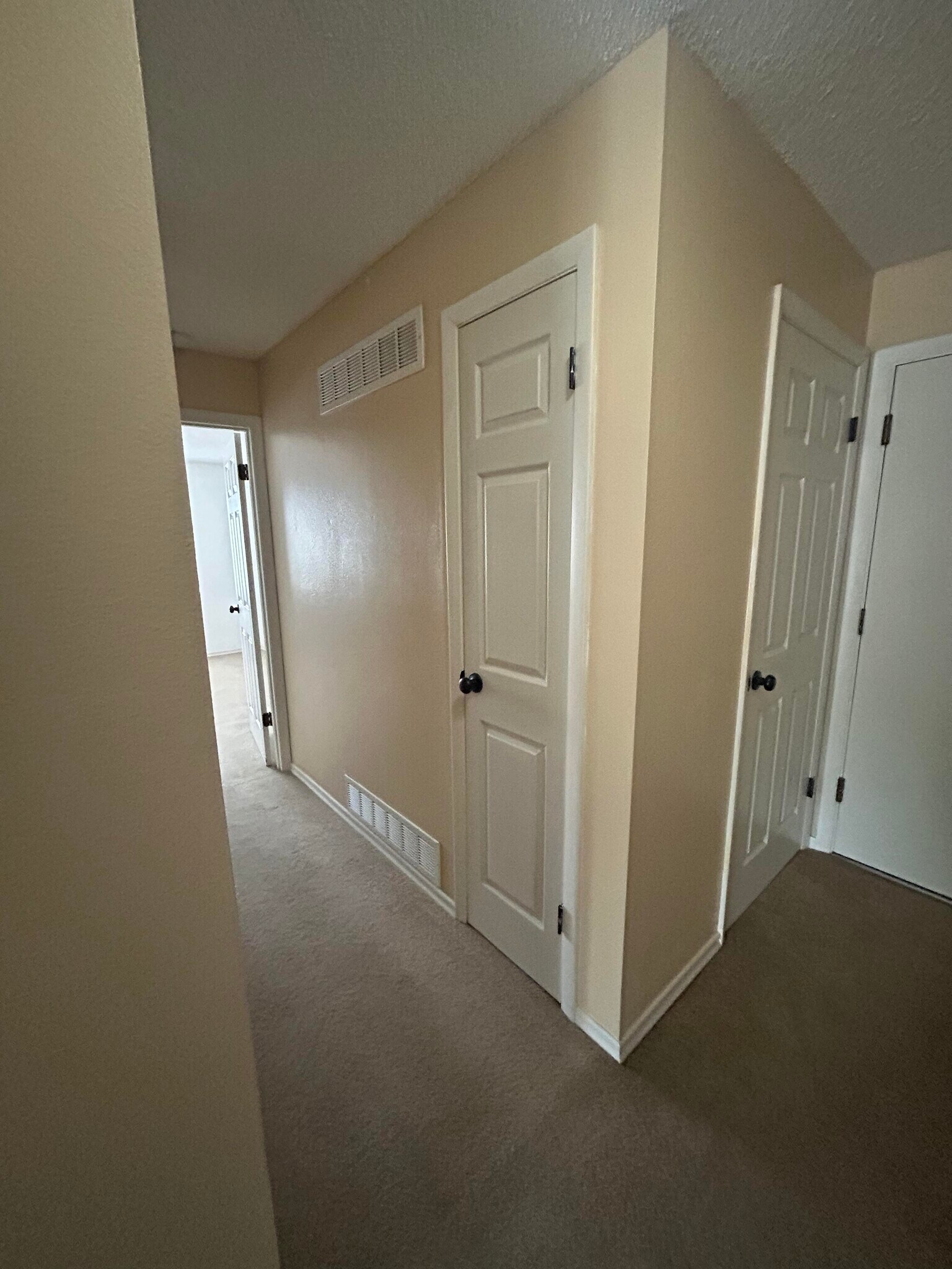 Entrance to 2nd Bedroom - 1233 Guelbreth Ln