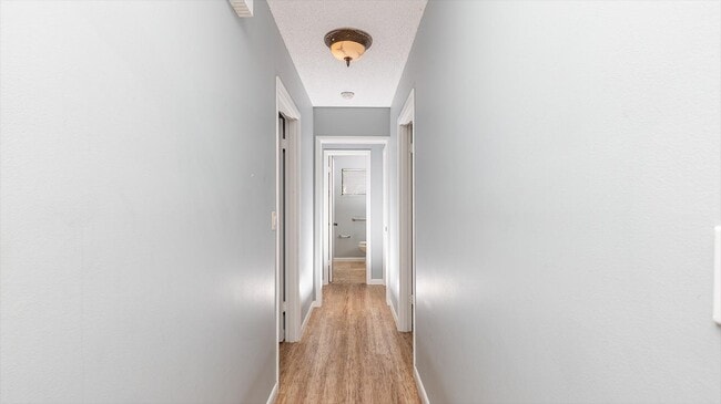 Building Photo - 161 Pine Cone Trail