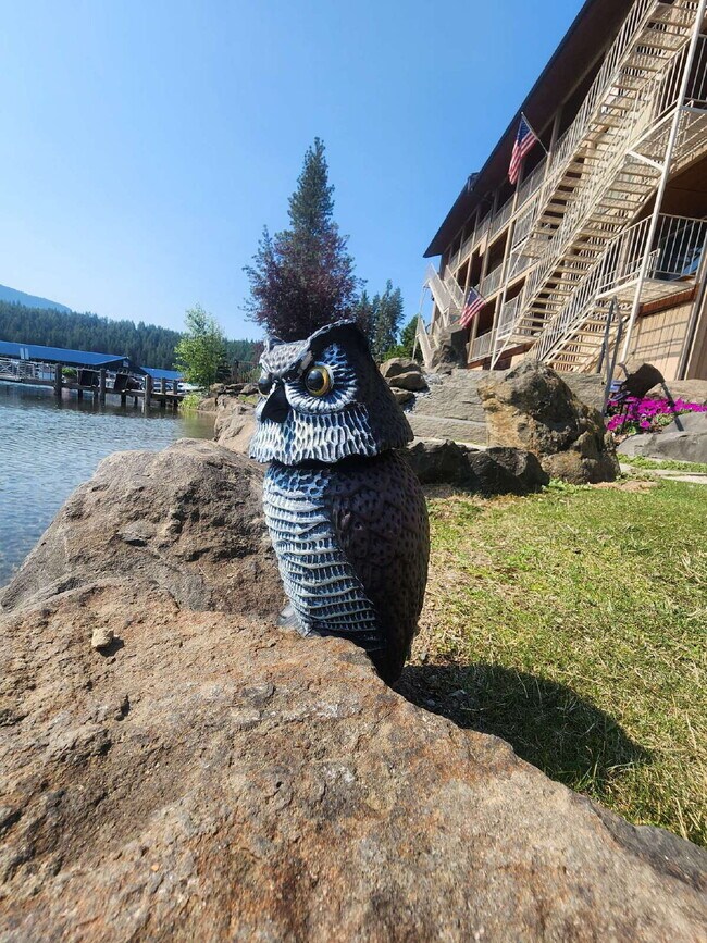 Building Photo - Bayview Lakeside Charmer