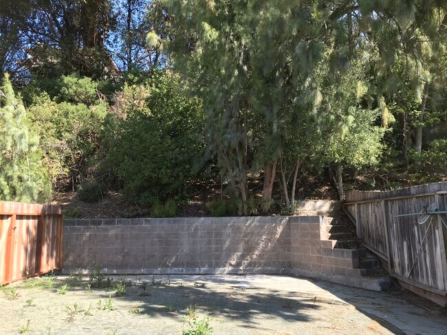 Back yard - 542 Bonita Ave