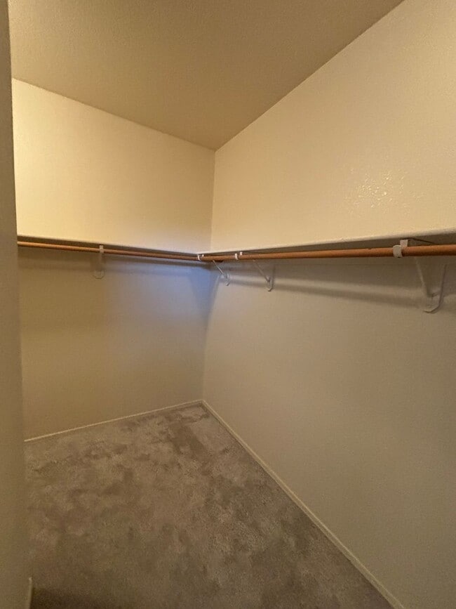 Building Photo - 5484 Canteria Court