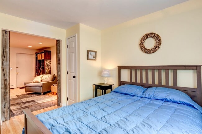 Building Photo - Downtown Breckenridge One Bedroom! Furnished,  Great natural light! 2parking spots!  Best Location