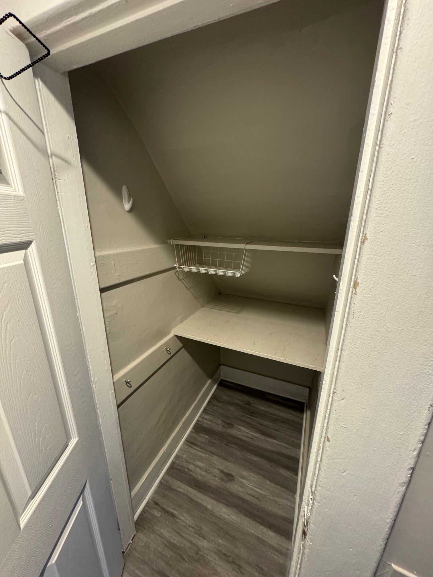 downstairs closet - 552 Bradley St