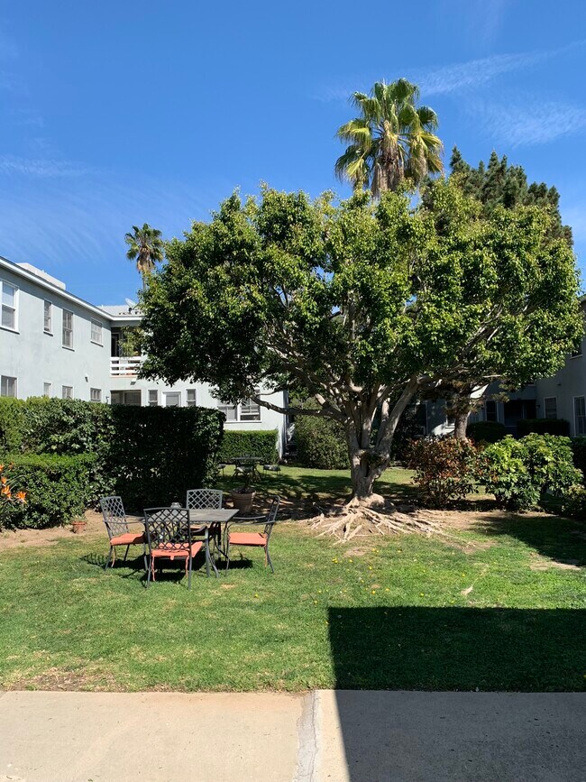 Garden/Yard area - 3121 Arizona Ave