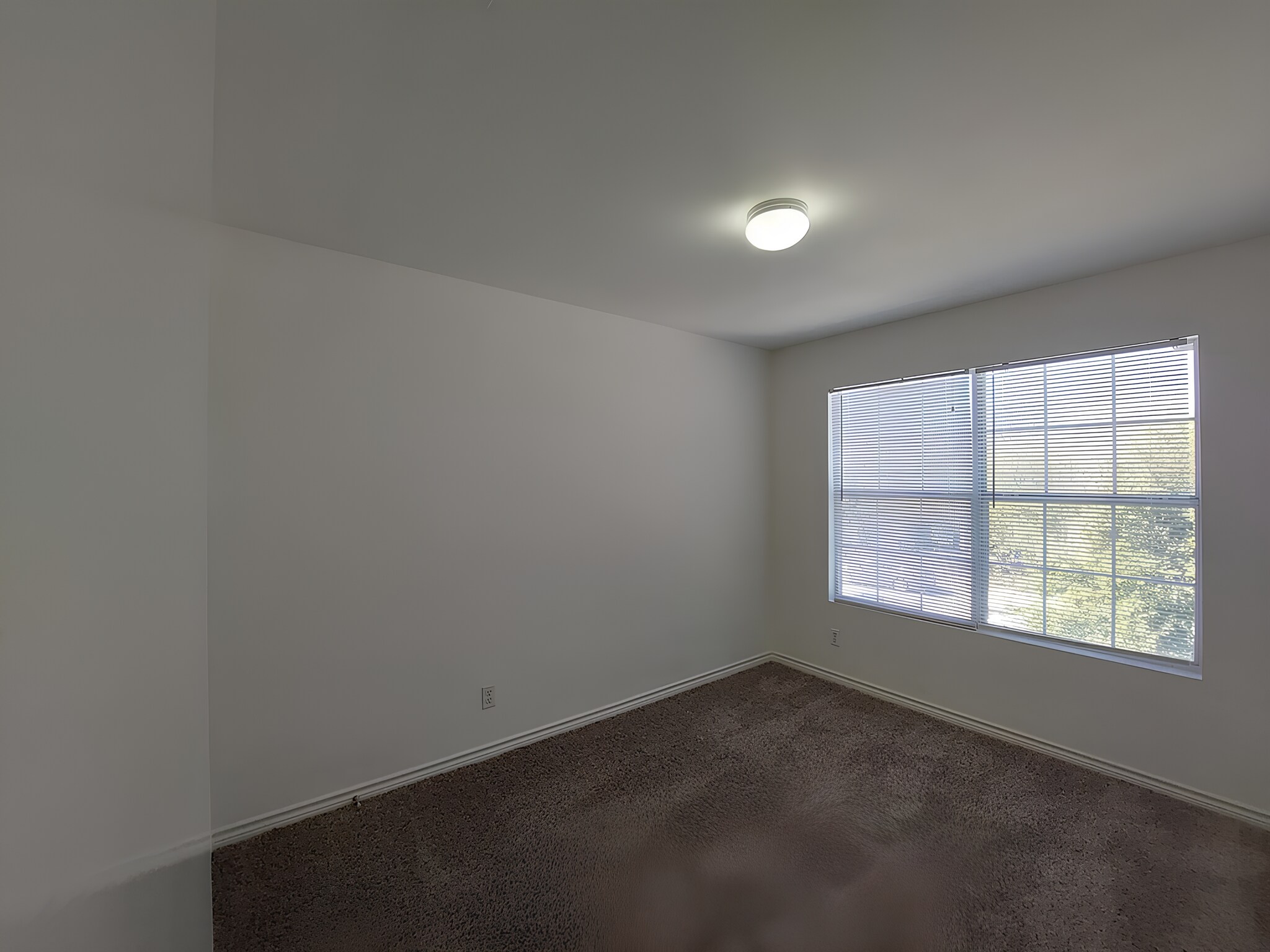 Building Photo - 7818 Kingsbury Wood