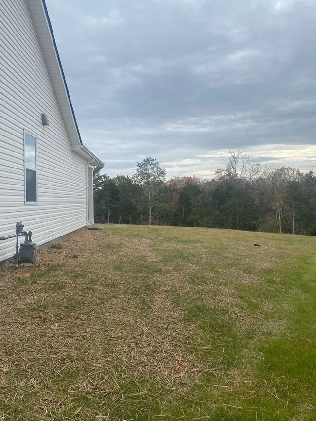 Building Photo - Brand New Construction - 4 bedroom 2 full ...