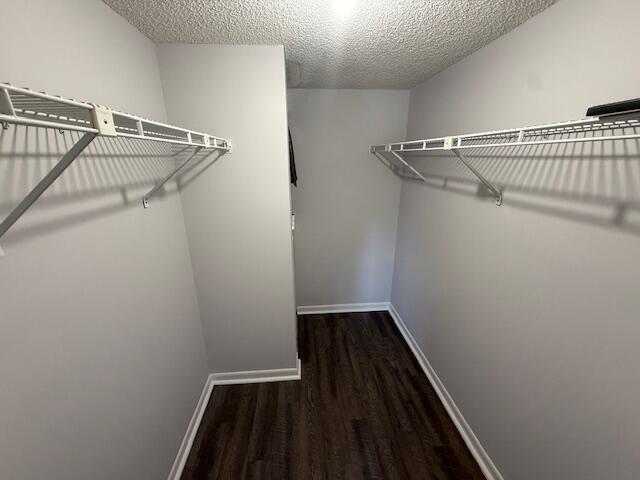 Building Photo - 2828 Casita Way