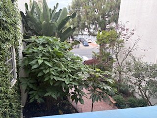 Building Photo - 3840 Howe St