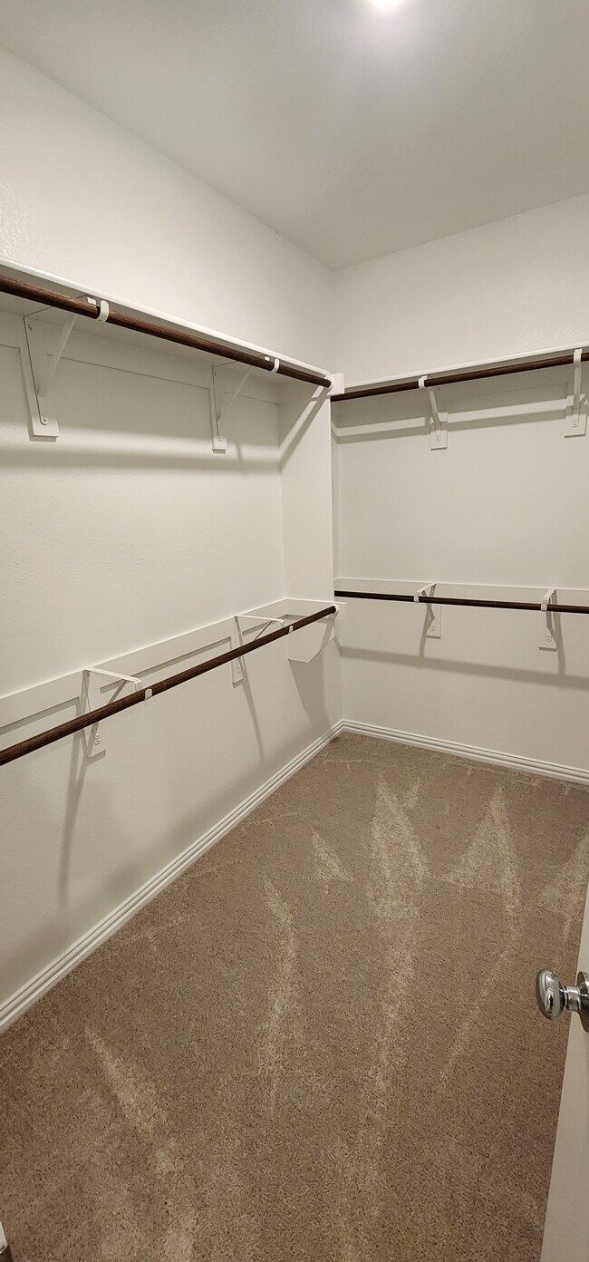 Building Photo - 10029 Little Tree Ln